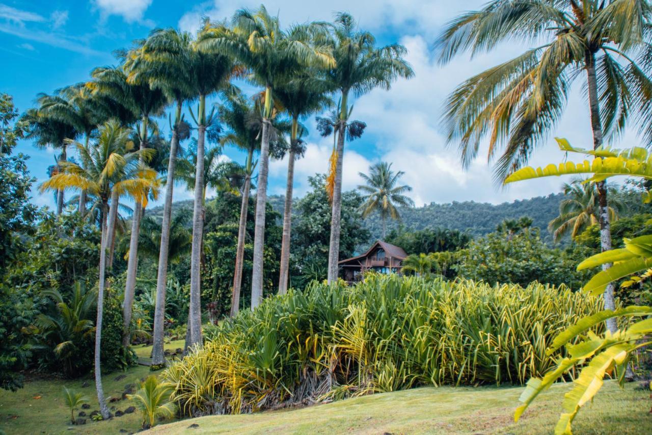 Hotel Jardin Malanga Basse-Terre Exterior foto